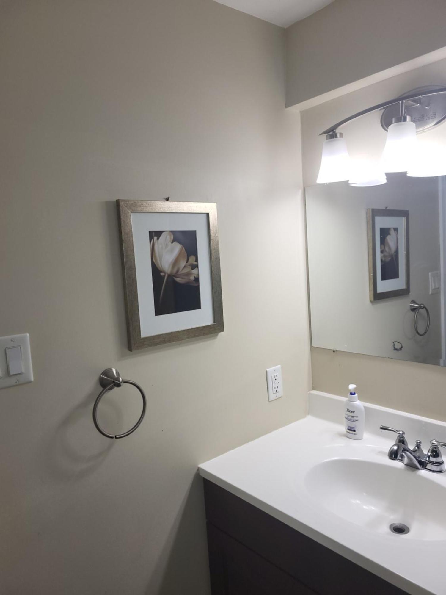 Lovely Guest Entire Apartment Minutes From Ottawa Airport Ngoại thất bức ảnh